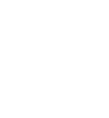 Wolf head logo